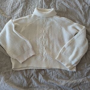H&M Divided Cable Knit Sweater Turtleneck